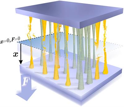 A Thermodynamic Framework for Stretching Processes in Fiber Materials